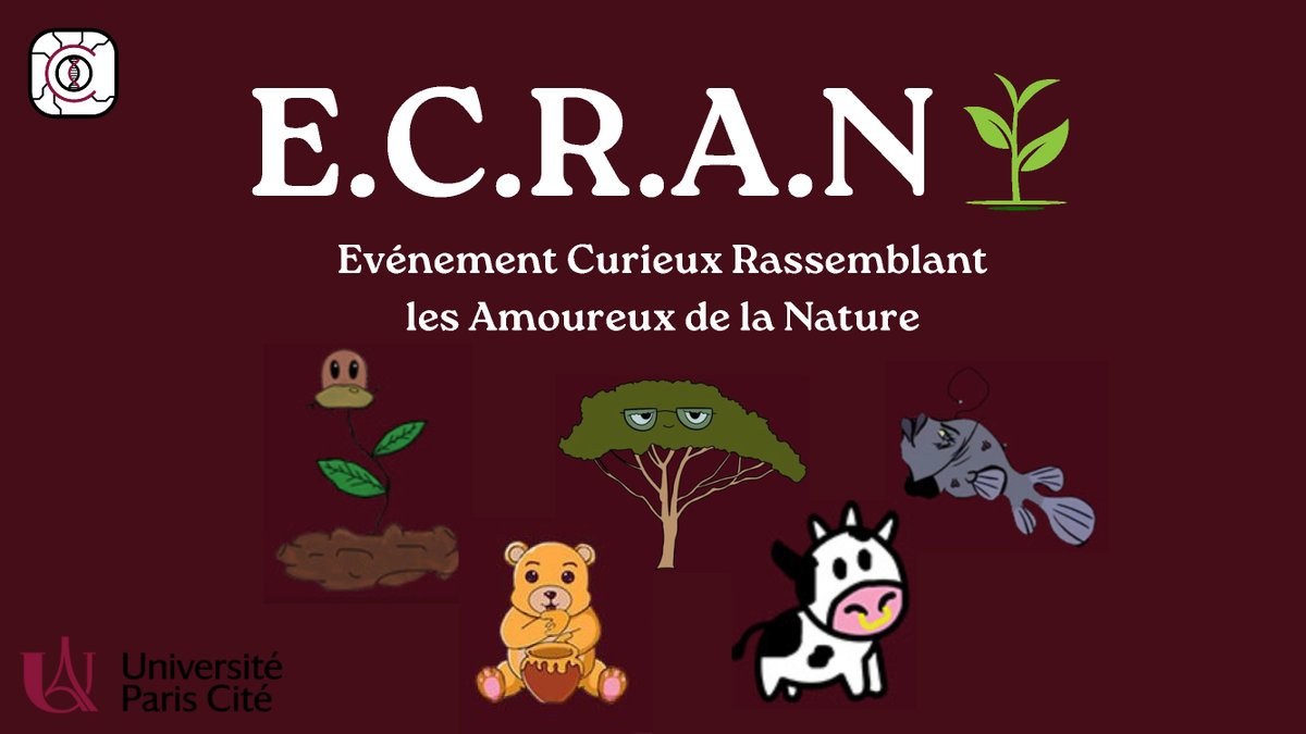 Évènement ECRAN de la promotion 2024 de <a href="/CBioNum/">Bionum</a>  les vidéos en ligne!
Replay Intégral: youtu.be/u2chgOGu2gI
Dracaufeu: youtu.be/cIikv08bxho
Salade: youtu.be/AyTPX-0qyyk
Nymphe: youtu.be/crfKsSR5aeQ
Sucrette: youtu.be/IuXnWZeyp3s
Plastique: youtu.be/ig_8P9IhpoQ