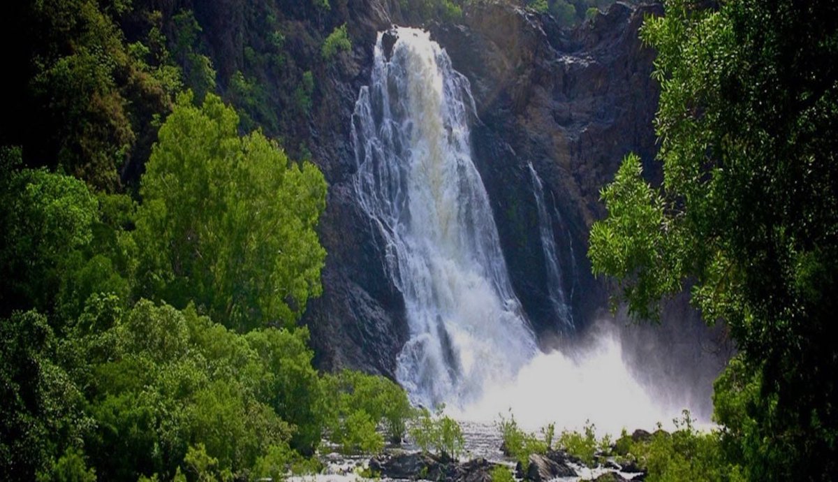 Magical tourism in Australia thrives at the Daintree Rainforest in Queensland, where visitors can experience the enchantment of the world's oldest tropical rainforest, filled with ancient flora, unique wildlife, and Aboriginal cultural tours. #magicaltourism #Australia #Daintree