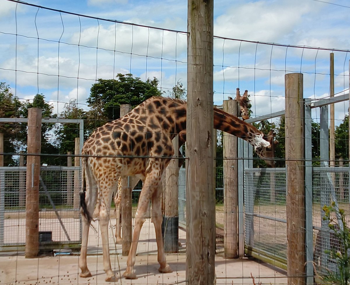 BlakesleyHallPrimary tweet media
