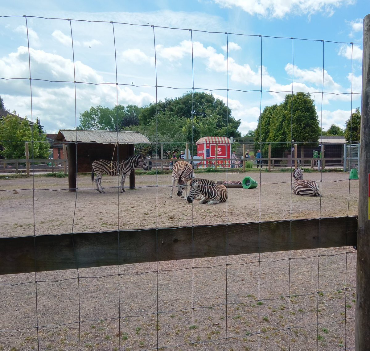 BlakesleyHallPrimary tweet media