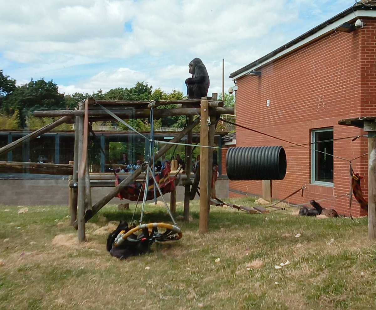 BlakesleyHallPrimary tweet media