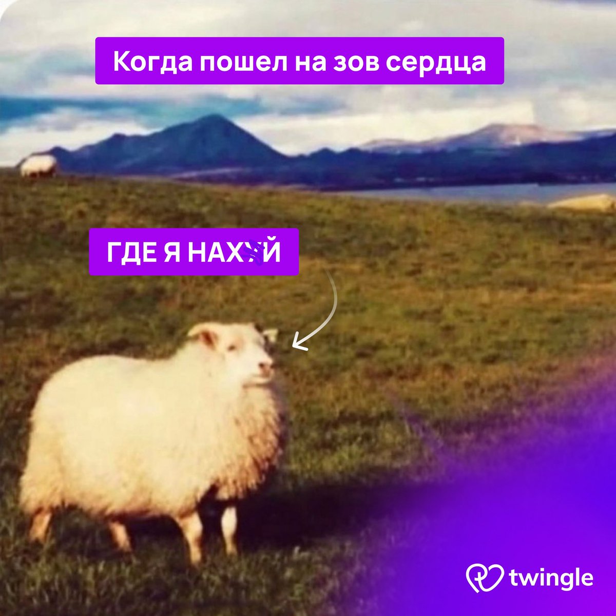 Twingle_ru's tweet photo. https://t.co/Je0Ne6z132