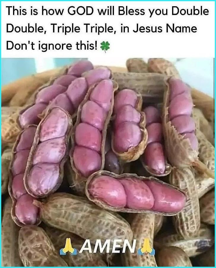 Law Of Attraction Coach tweet media