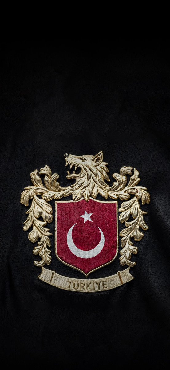 Bir dinin, kutsal kitabının yakılmasına özgürlük diyen göya medeniyetler diyarı Avrupa, şu gol sevincine 2 maç ceza verdi. 

Eğer bayrağınızda Ay Yıldız varsa, kurallar size başka işler!

Çünkü geçmişin izleri silinmez 🇹🇷

 #BeFairUEFA #AsBayraklarıAs