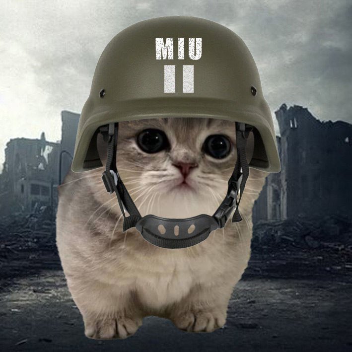 The 🪖 stays on lil $MIU. 

Reporting for duty 🫡 

#crypto #solana #meme #100x #dex #CoinGecko #CoinMarketCap #cat #miu #cto