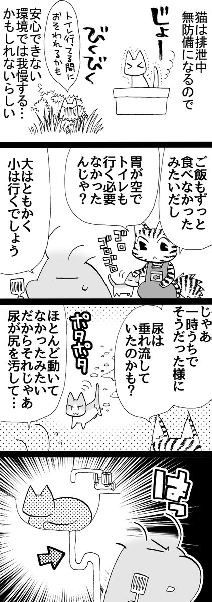 四コマ「拾い猫ラッキー46」
ラッキーがいた、あの家の洗面所は無事じゃなかったかもしれない。
損害賠償請求されるかもしれない……この漫画はフィクションです。
#猫 #四コマ漫画 #御かぞくさま御いっこう