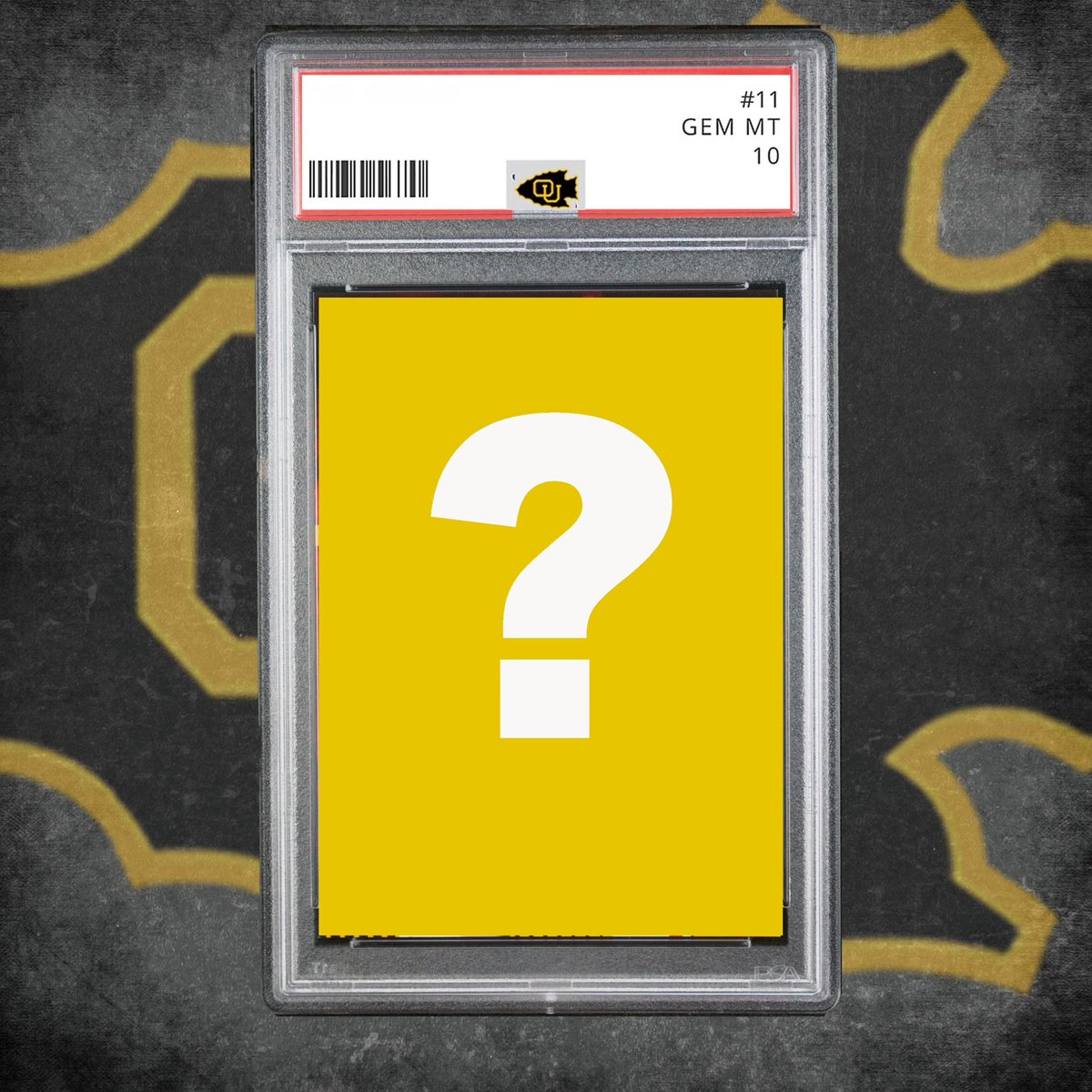 Next week we will begin announcing our incoming freshman class! Trading Card Edition, stay tuned! 🦦