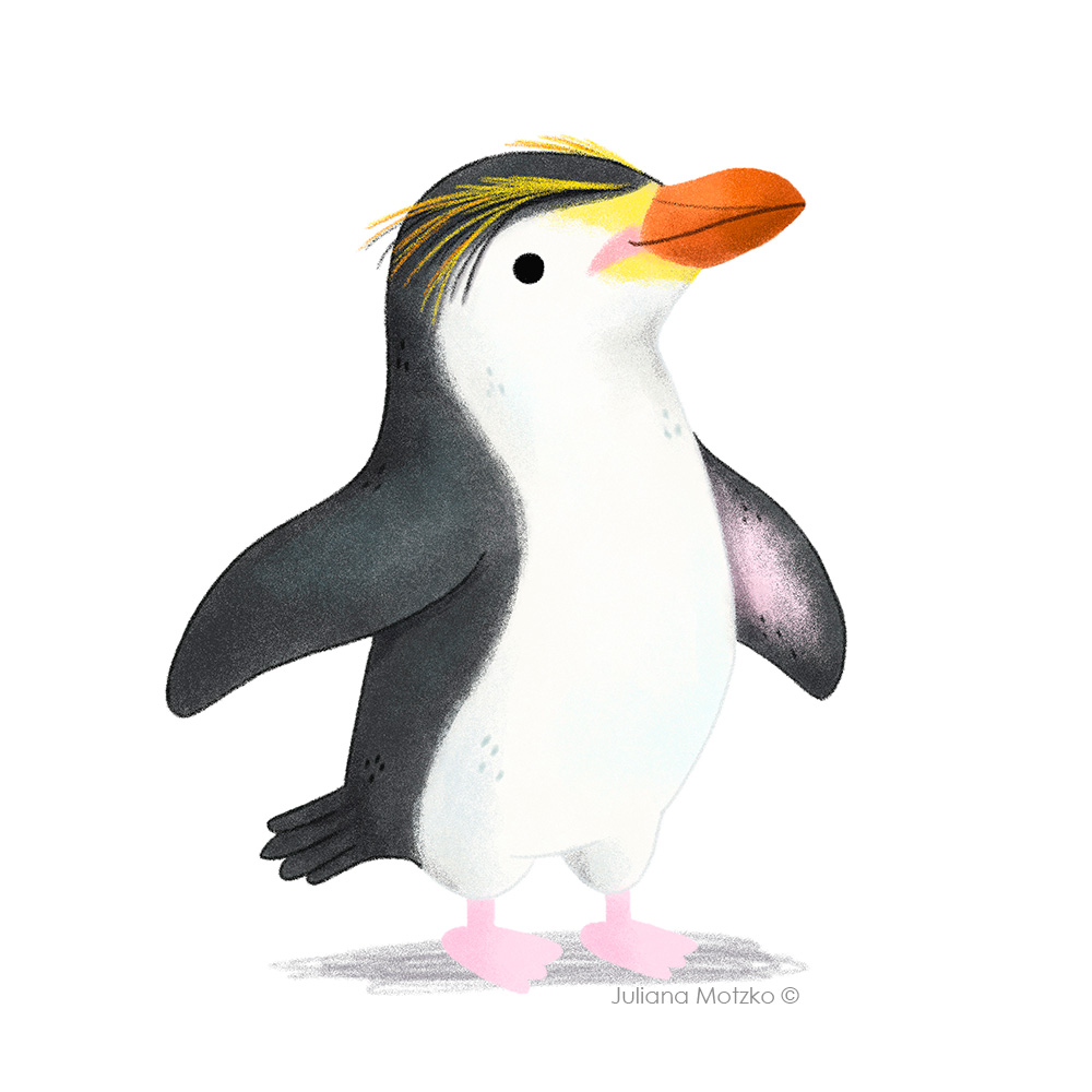 julianamotzko's tweet photo. A lovely Royal Penguin.
Design available in my store. Link in Bio.
#allcutebirds #royalpenguin #penguin #colorfulbird #birds #love #cute #childrenillustration #illustration #illustrator #artist #characterdesign #kidlitart #kidlitartist #cuteanimals #art #JulianaMotzko https://t.co/mvp8Uo6hyq