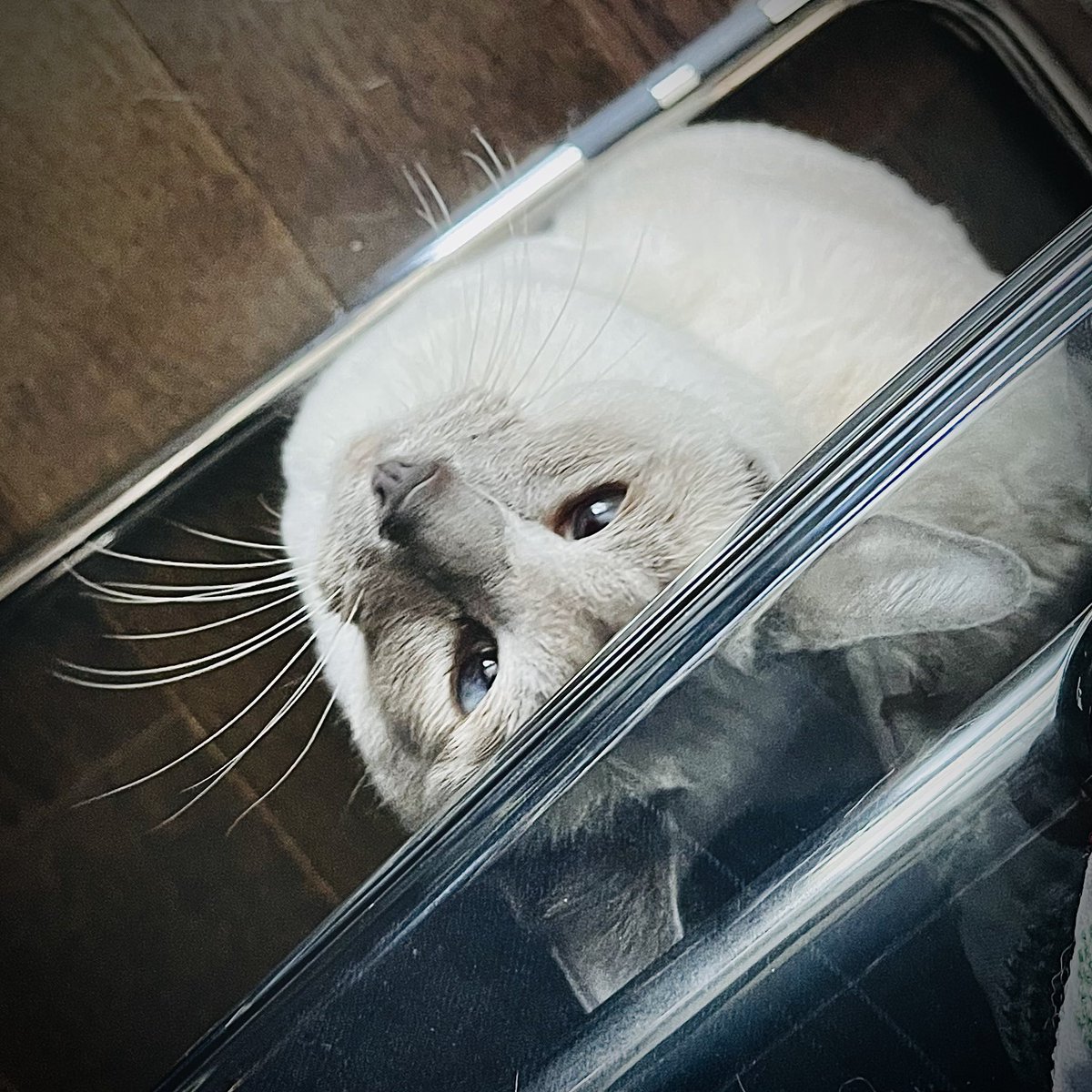 Gary Lee tweet media