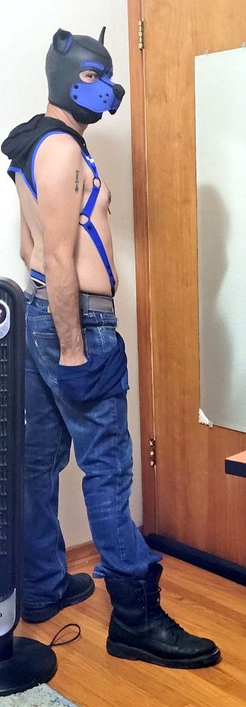 Bark! Can I help you with something?  

AD: <a href="/Mox_Noctem/">Mox Nox</a>
📸: <a href="/zakfusky/">Zak Knotty Fusky😋🔜FC</a>