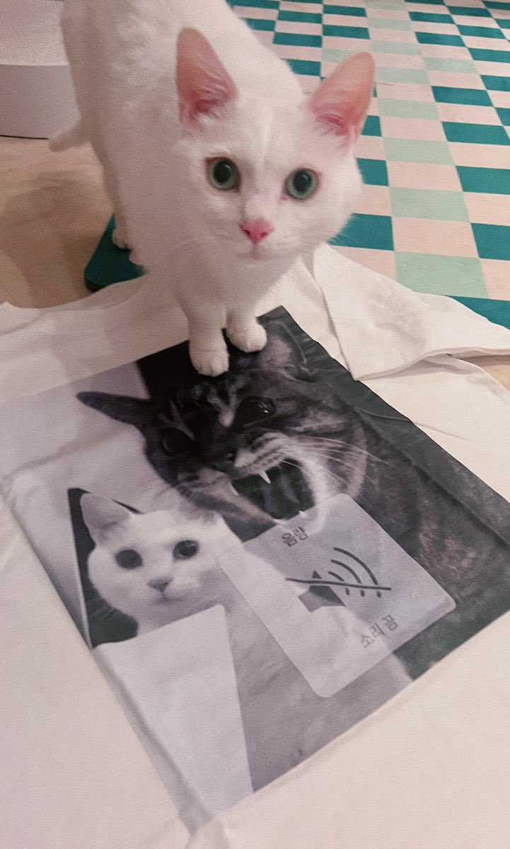 🍀10주년 기념(?)🍀
RT 하신 분들 중에 추첨을 통해 
한 분께 쯔후야 무소음 극대로 티셔츠 
L 사이즈(남녀 공용)를 보내드립니다.