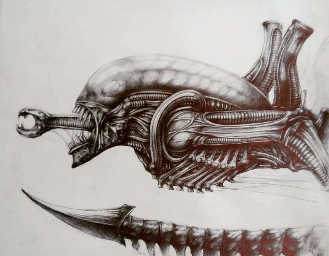 This fantastic piece of Alien artwork comes to us via the talent of Dan Rey! #Alien #Aliens #AlienRomulus #BigChap #HRGiger #StanWinston #Xenomorph #XenomorphXX121 #DanRey