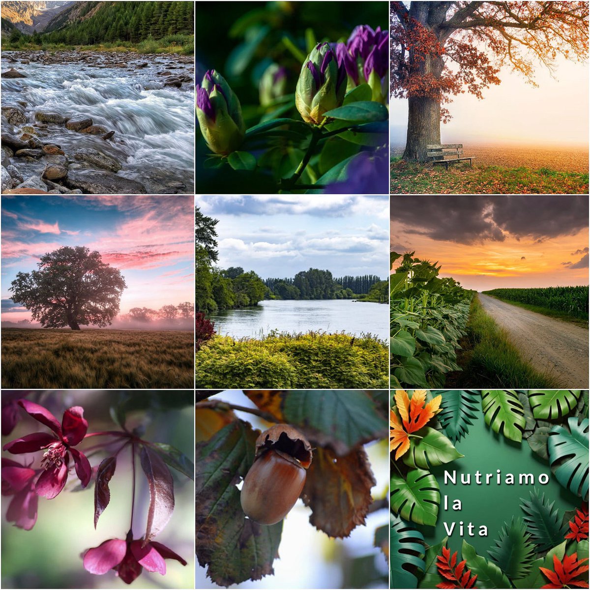 ALMATEC_SOCIAL's tweet image. @CelestinoGutirr
@sminaev2015 
@sbarro_health
@ContactAurelio
@DrVinodEndo
@RicercaSapienza
@bambinogesu
@gcloudpartners
@StanfordSurgery
@SEmergencistas
@QS_Madrid
@ospniguarda
@Harvinder_Garg
@obsfrontend 
@NutriamolaVita
@Liquidarteit
@a1itt
@NewofficeL
#Nutriamo_la_Vita