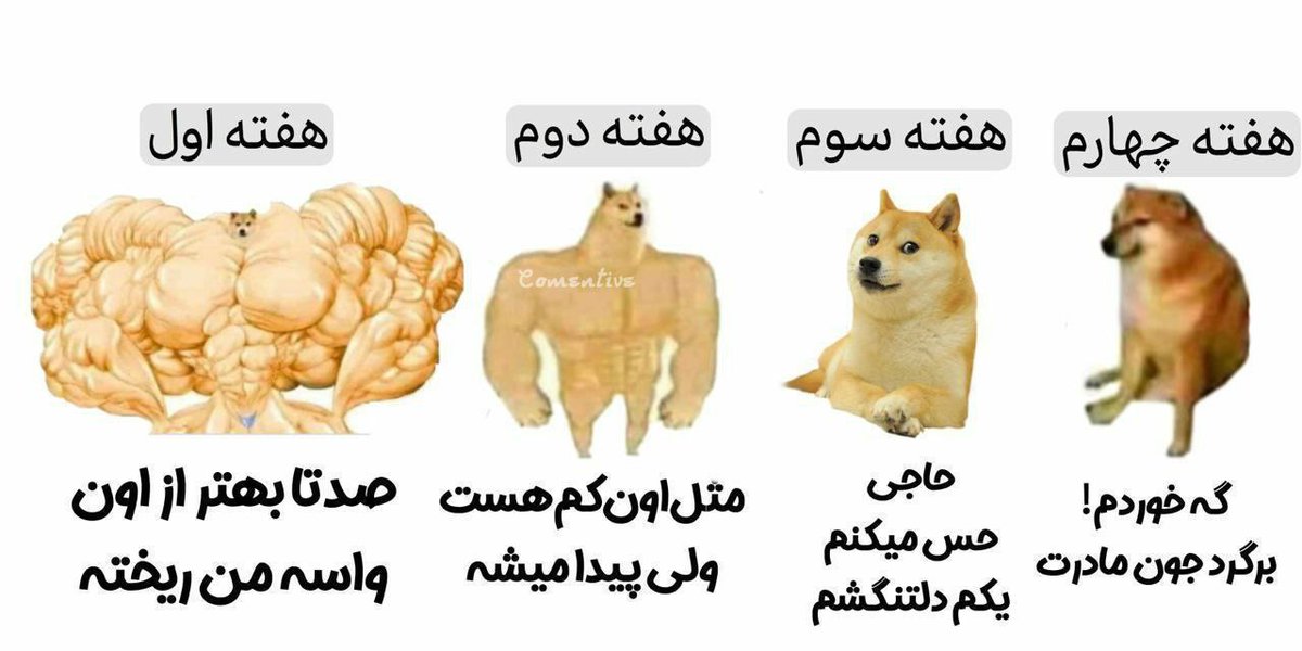 وقتی ‌کات میکنی: