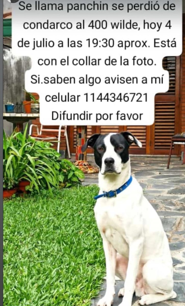 Se perdió Panchin en #Wilde 

Condarco al 400
