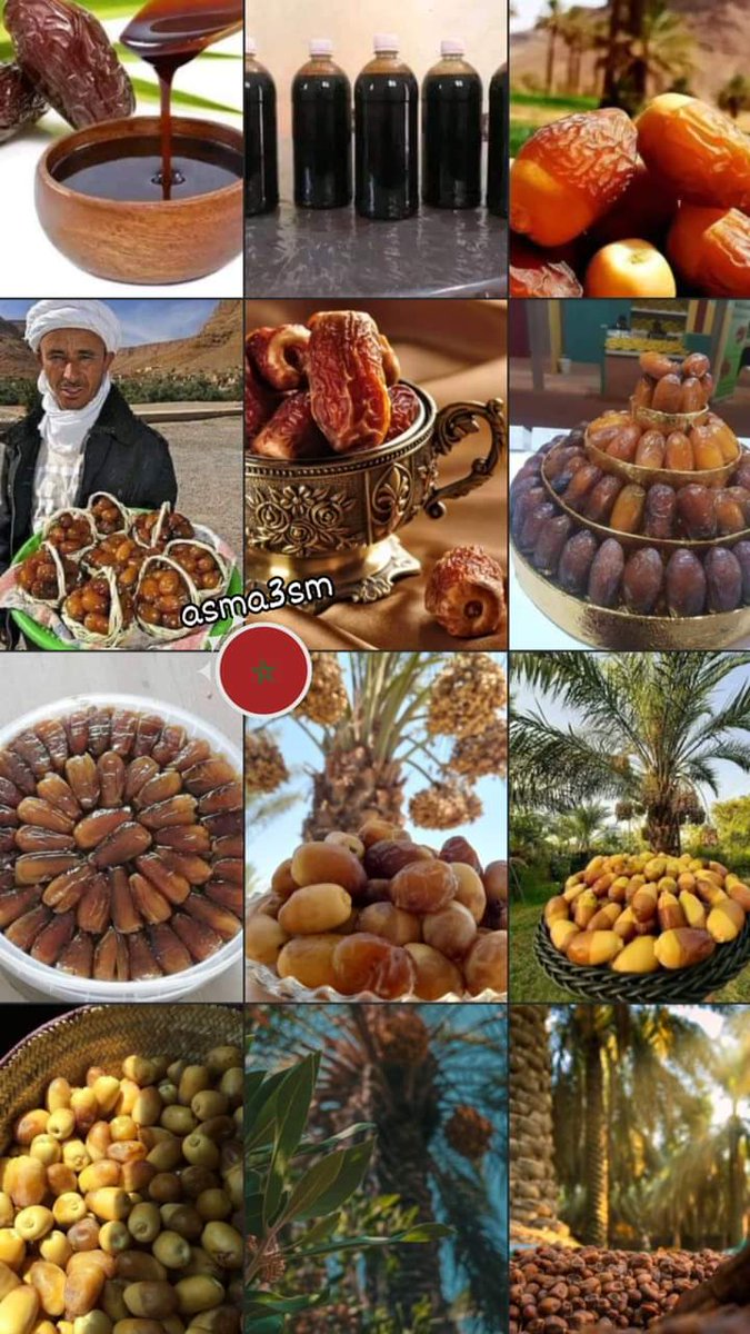 Mustapha69ma's tweet photo. #Datiles
The sacred fruit ✨🌴💚✨
Welcome ✨❤️✨
✨👑🇲🇦👑✨ https://t.co/37qCnO8fdq