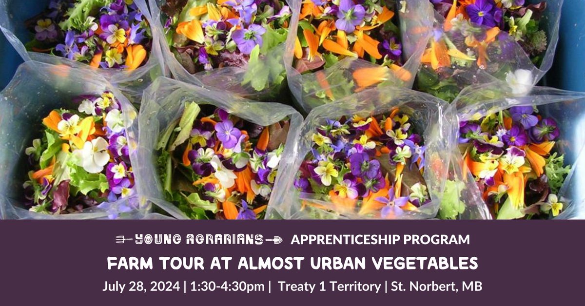 <a href="/youngagrarians/">Young Agrarians</a> is hosting a farm tour at Almost Urban Vegetables, come and learn about their growing practices for their seasonal vegetables!
Registration is free: Youngagrarians.org/events
WHEN: Sunday July 28, 2024 | 1:30pm to 4:30pm
WHERE: Treaty 1 Territory | St. Norbert, MB
