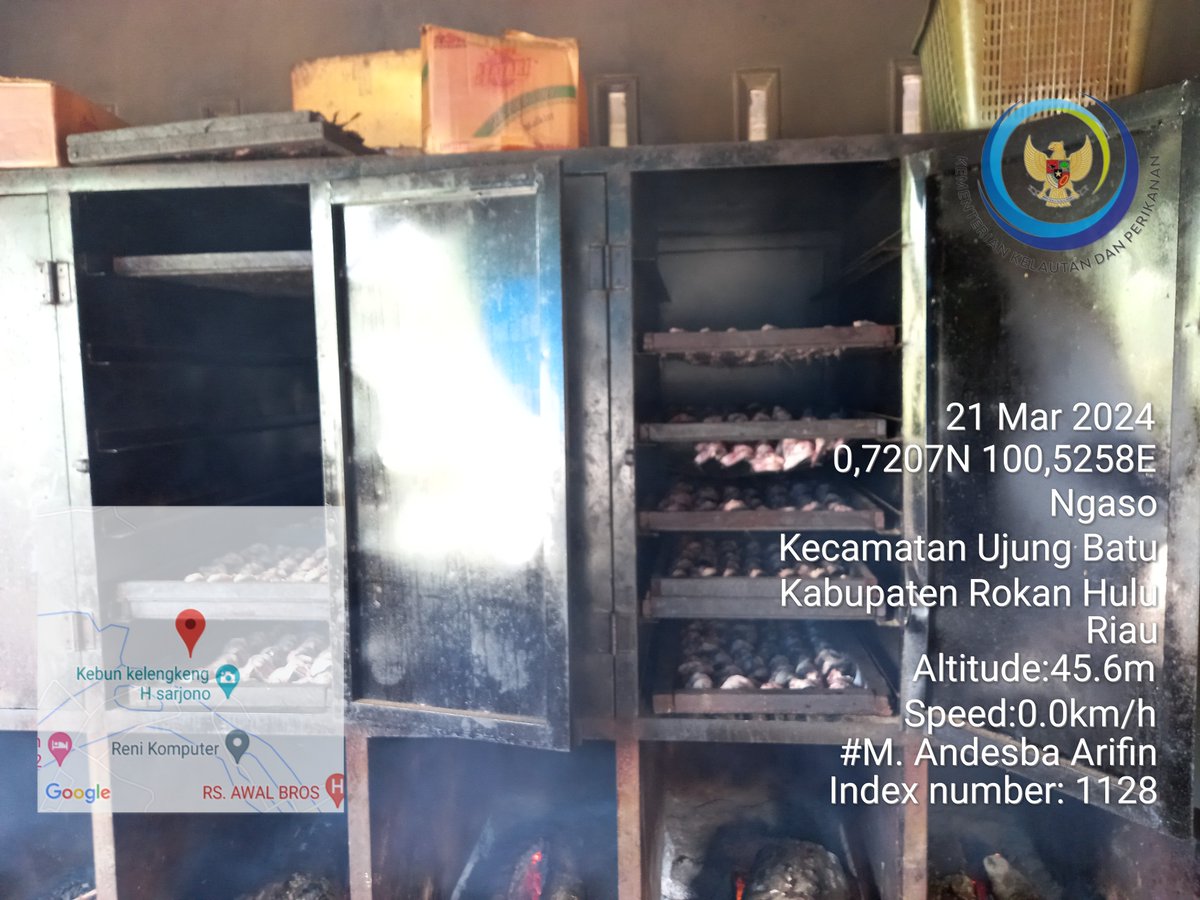AndesThp06's tweet photo. Kamis (21/3) M. Andesba Arifin, Luhkan Rokan Hulu, melaporkan produksi ikan Salai lele Poklahsar Tunas Usaha Gemilang, Ds Sukadamai bln Maret 2024 sebesar 90 kg, harga jual 75000/kg #GiatLuhkanSatminkalMedan #Rohul #Produksi @bpppmedan_brsdm,@puslatluhkp,@kkpgoid
,@bppsdm_kp https://t.co/oIg9fQTpc0