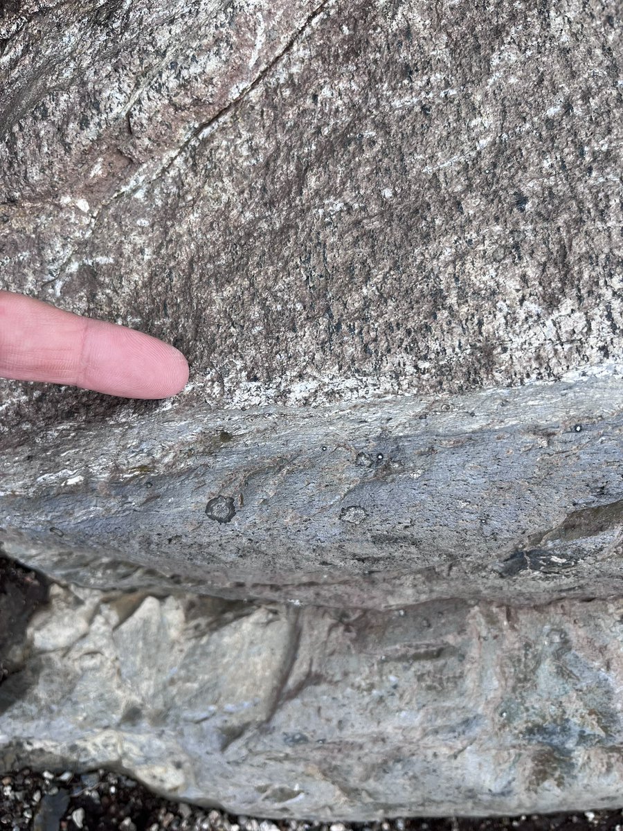 glgysteve's tweet photo. Last weekend we hiked across the Lærdal-Gjende fault - a crustal-scale fault traversing much of mid-Norway. The most recent fault surface along Gjende is  harder to find than at Lærdal… but I can always search more! #jotunheimen #gjende https://t.co/4K27SmLhpP