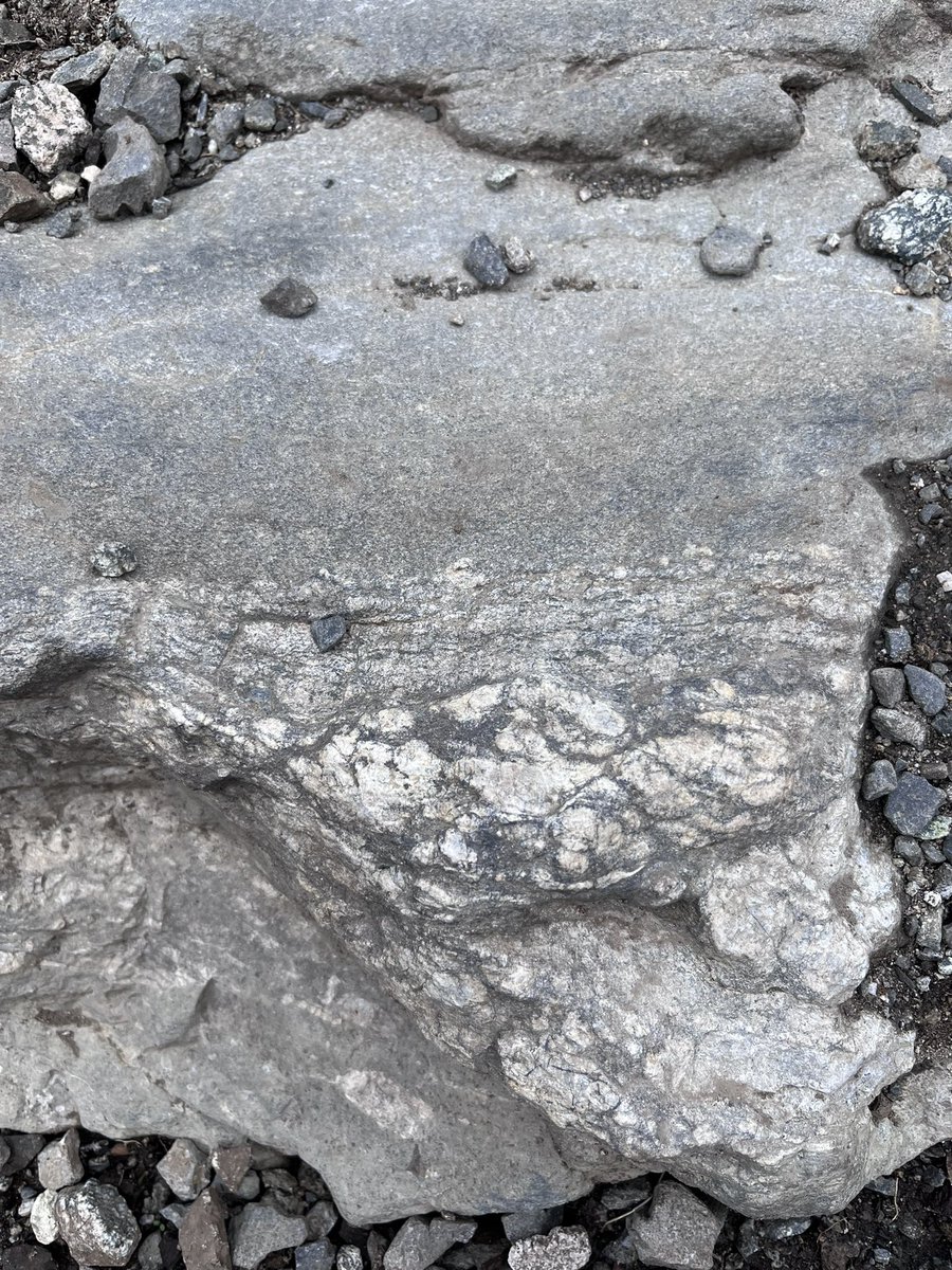 glgysteve's tweet photo. Last weekend we hiked across the Lærdal-Gjende fault - a crustal-scale fault traversing much of mid-Norway. The most recent fault surface along Gjende is  harder to find than at Lærdal… but I can always search more! #jotunheimen #gjende https://t.co/4K27SmLhpP