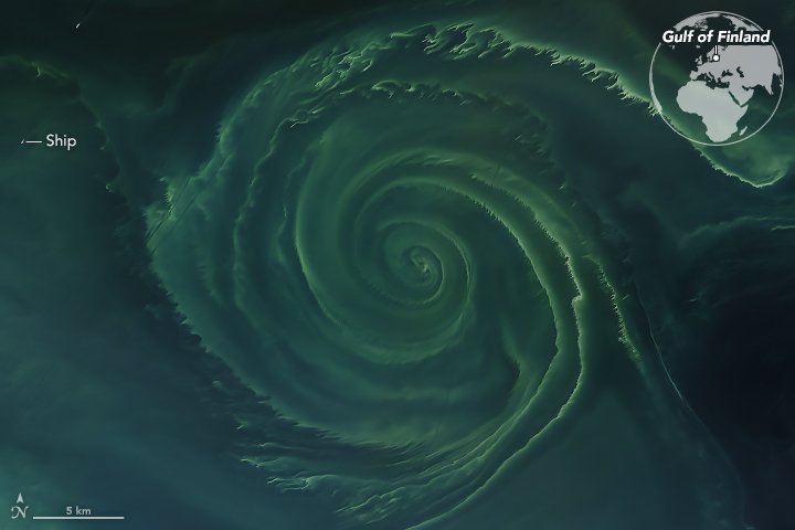I was asked by a young German journalist if I am going to be swimming in the Baltic after Polish nuclear power plant starts operations.

 "To be fair, I don't feel comfortable swimming even right now," I answered.

Although the fear of radiation is largely irrational, the issue