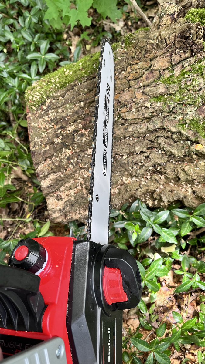 matthiassuess's tweet image. Heute habe ich endlich Zeit für den Windbruch. Das ist kein Baum, sondern ein Ast. #RealLive