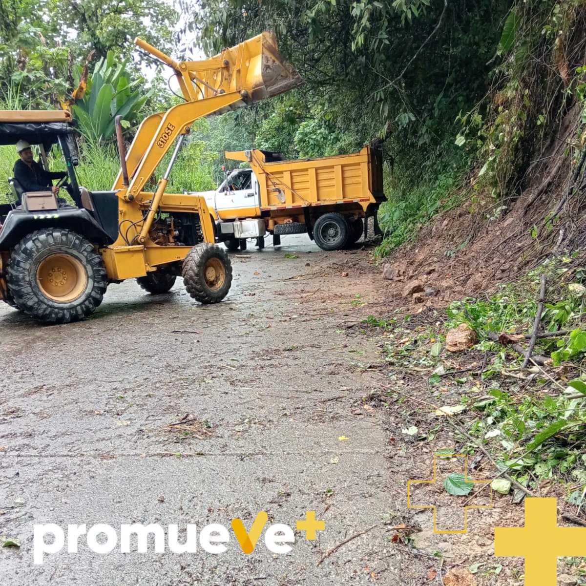 Promueve_mas tweet media