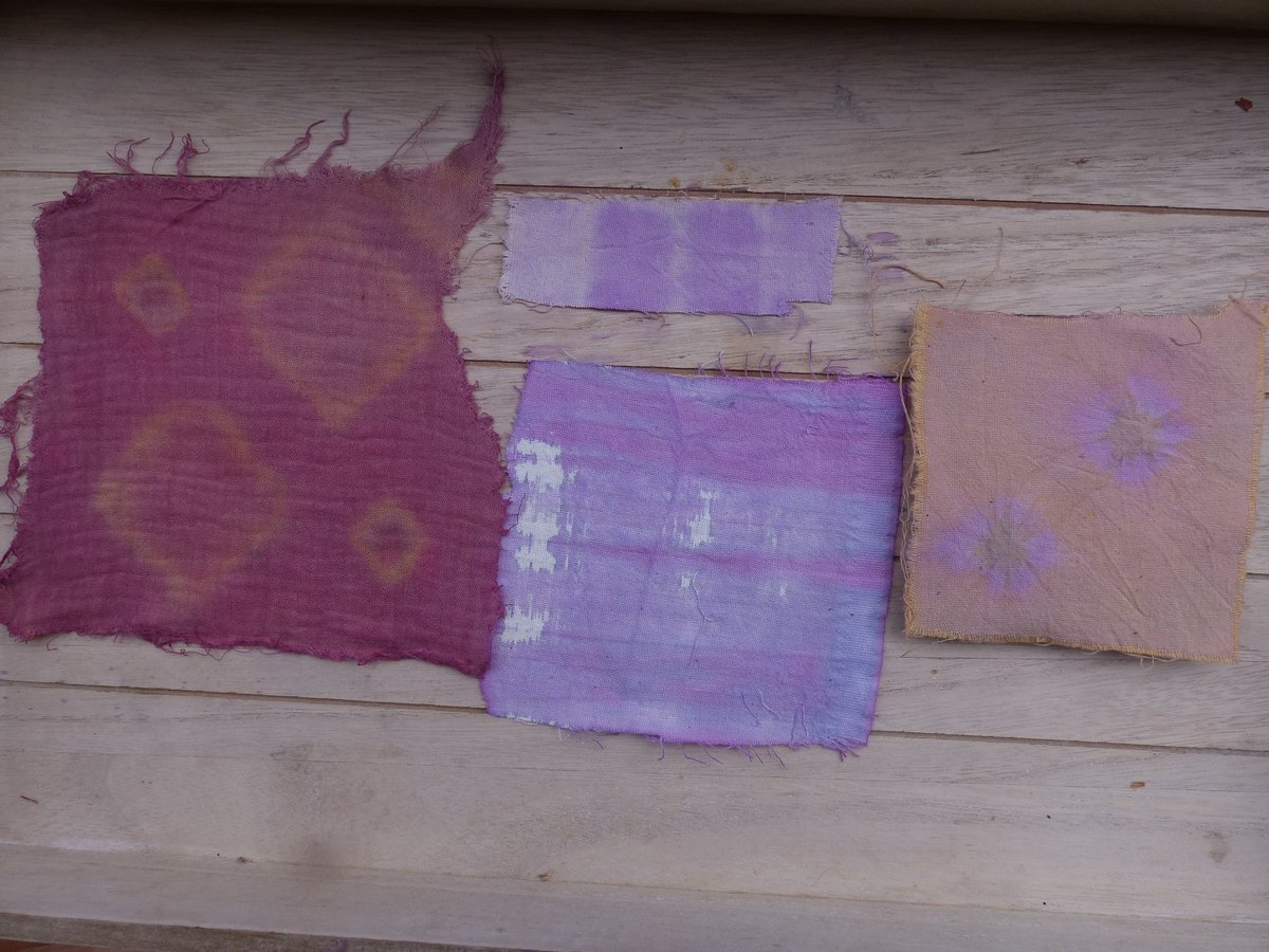 ARichter_moNKA's tweet photo. Probefärben mit #Naturfarben, Naturmaterialien und #Shibori-Technik für den Färberkurs am Montag in #Hohenhain; Birkenzweige #Betula pendula, Kichererbsen, #Rotkohl red #cabbage Gelbschoten #Gardenia, #Bananen-Schalen #Musa paradisiaca, Sisalschnüre, Baumwollstoff #naturaldye https://t.co/lmsKmpZWxC