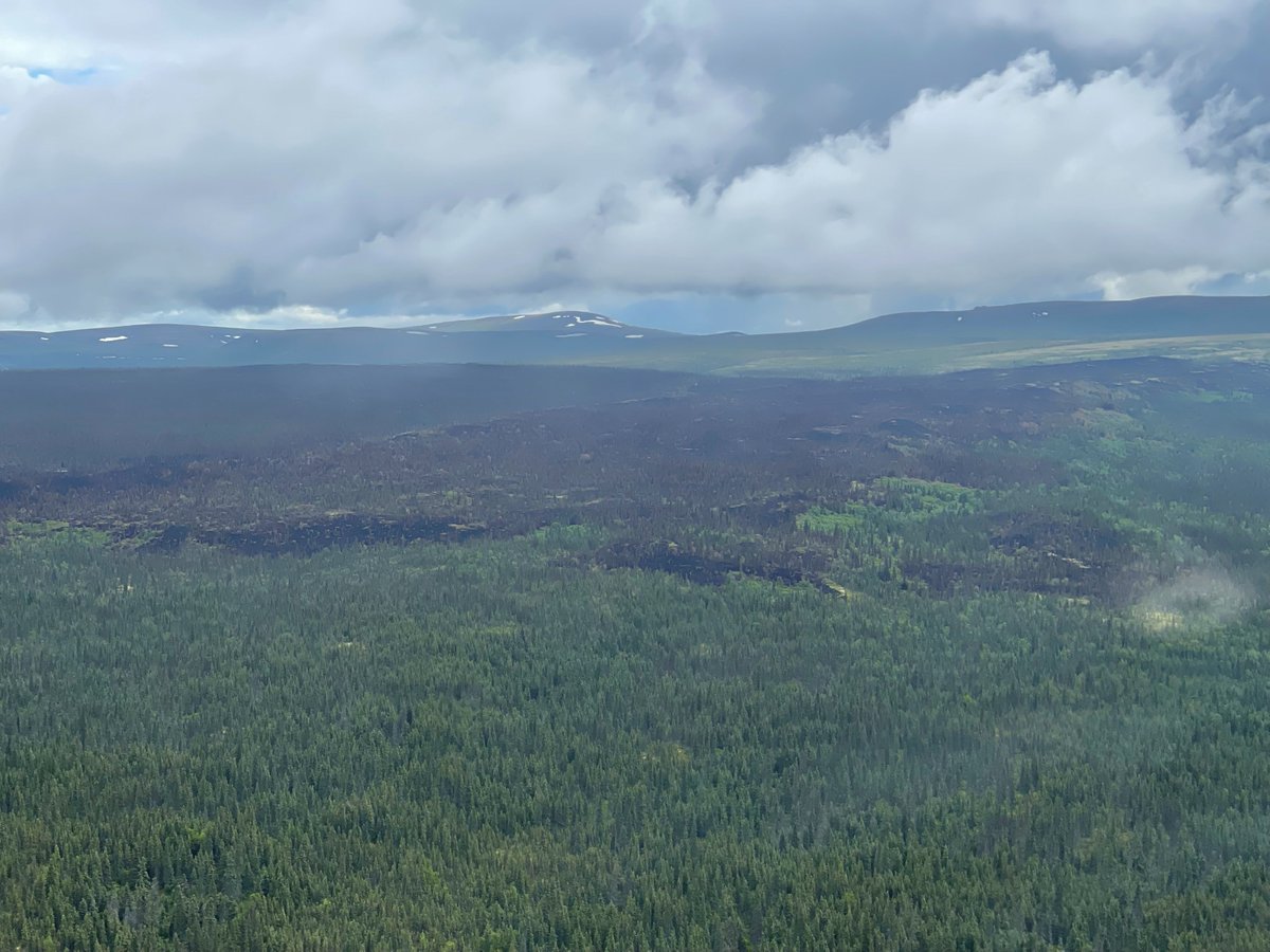 Regular monitoring of two park wildfires reveals that neither is growing significantly or posing an immediate threat to life or property. American Creek fire is 4,650 acres burning south of Nonvianuk Lake. Naknek Lake fire is 26 acres &amp; nine miles west of Dumpling Mountain.