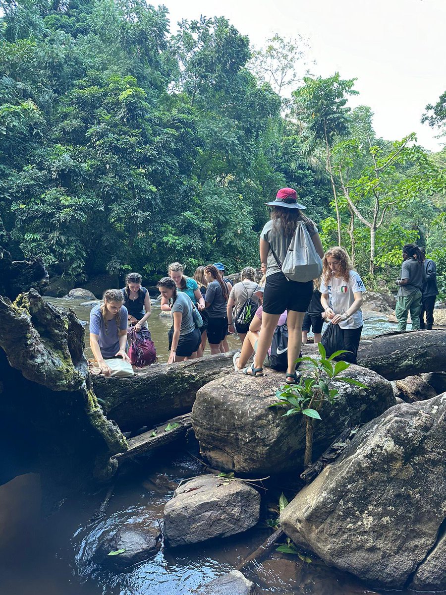 Team 1 had a fabulous day trekking in the Amani Nature Reserve and then headed down to the river for a cool off. We even came across a Giant Chameleon!