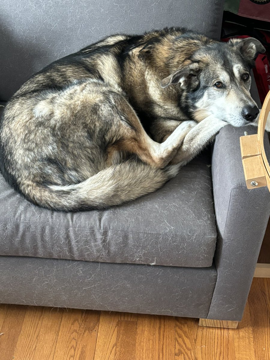 R_typhina's tweet photo. @AddisonBrothers @BlairBraverman @JamesFrye And they make excellent work supervisors. https://t.co/fXVyjF6IEQ