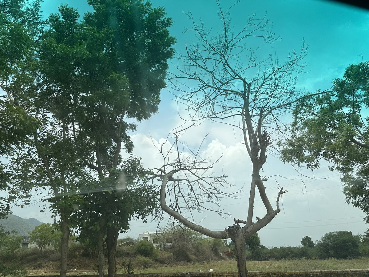 DrVinodEndo's tweet image. Good Day, Everyone!