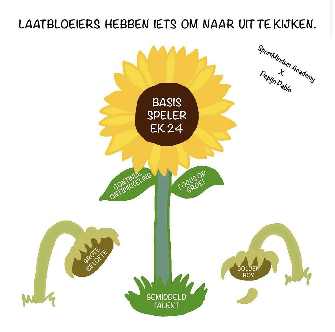 SportMindset tweet media