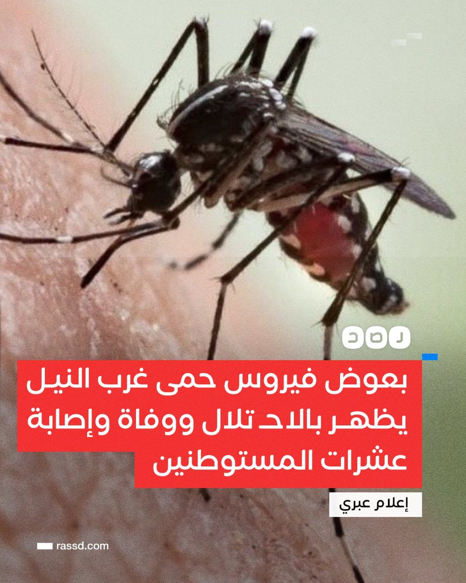 SuadMohammad20's tweet photo. https://t.co/hjHLSl7qBK