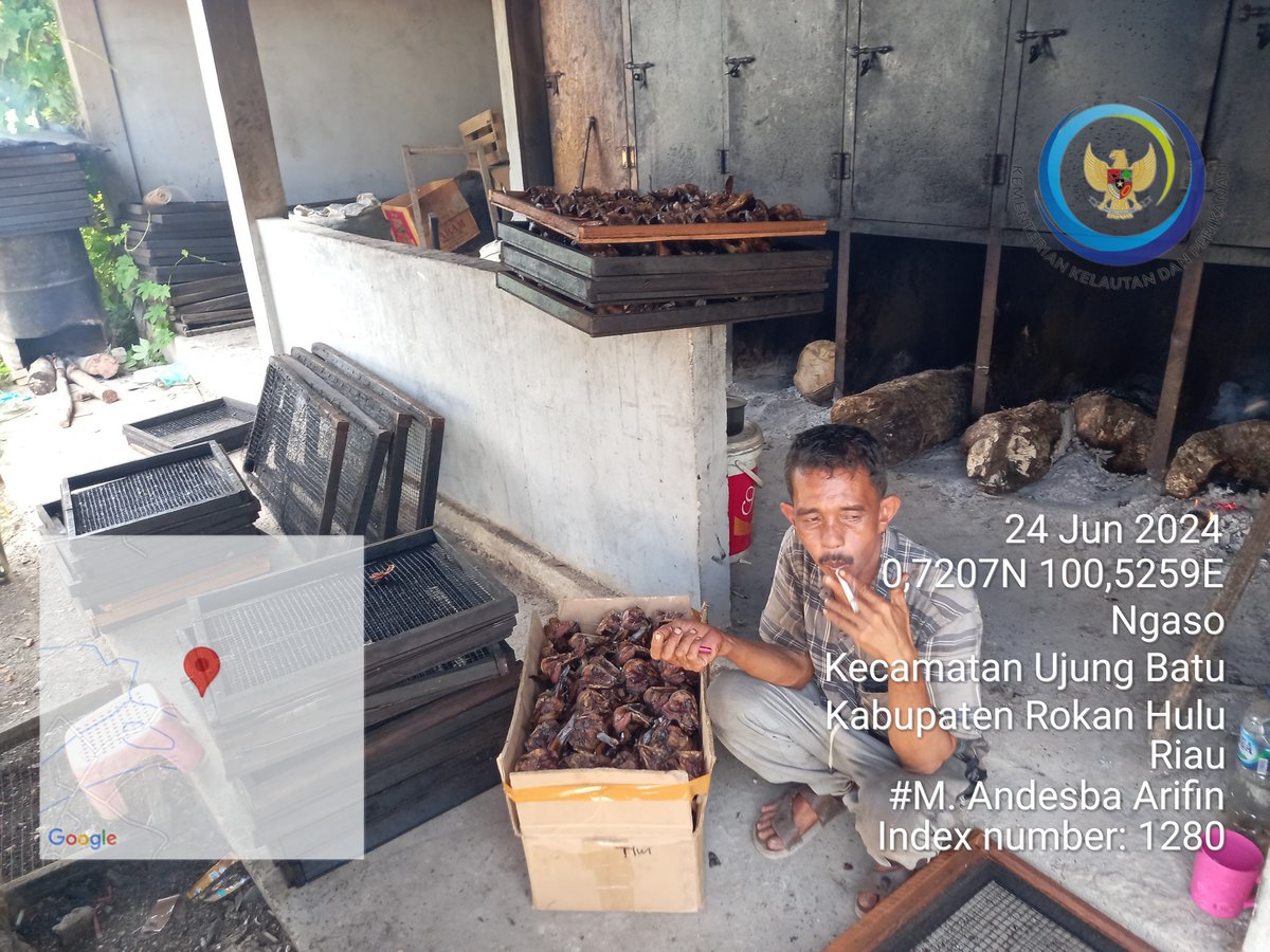 AndesThp06's tweet photo. Senin (24/6) M. Andesba Arifin, Luhkan Rokan Hulu, melaporkan produksi ikan Salai lele Poklahsar Tunas Usaha Gemilang, Ds Suka damai bln juni 2024 sebesar 90 kg, harga jual 80000/kg #GiatLuhkanSatminkalMedan #Rohul #Produksi  @bpppmedan_brsdm, @puslatluhkp, @kkpgoid
, @bppsdm_kp https://t.co/km9d9h6CXN