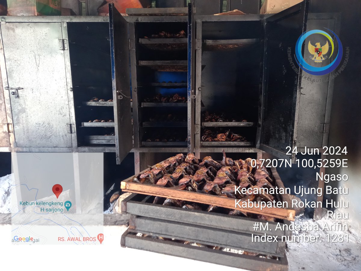 AndesThp06's tweet photo. Senin (24/6) M. Andesba Arifin, Luhkan Rokan Hulu, melaporkan produksi ikan Salai lele Poklahsar Tunas Usaha Gemilang, Ds Suka damai bln juni 2024 sebesar 90 kg, harga jual 80000/kg #GiatLuhkanSatminkalMedan #Rohul #Produksi  @bpppmedan_brsdm, @puslatluhkp, @kkpgoid
, @bppsdm_kp https://t.co/km9d9h6CXN