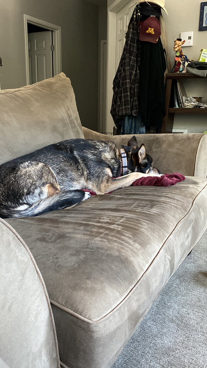 AddisonBrothers's tweet photo. @BlairBraverman @R_typhina @JamesFrye Yes. Both couches. Fava needs them both. https://t.co/RGhzFxY9WY