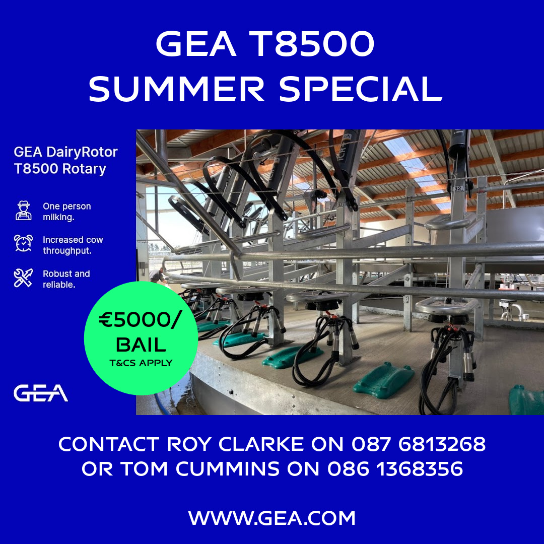 FarmGea's tweet image. ⭐Summer Special Offer ⭐

Imagine milking over 300 cows per hour with just one person! Call Roy Clarke at GEA on 087 6813268 for details of our summer offer priced €5000/ bail. T&amp;amp;Cs apply

#TeamDairyRobot  #TeamGEA  #milking  #DairyRobotT8500 ow.ly/luFB30sEvSy