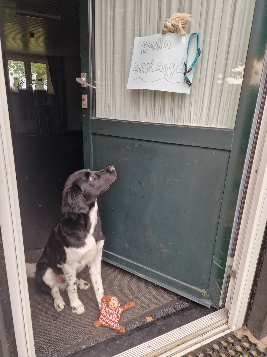 Natas__cha's tweet image. Hij had een mooi rapport.
Beste van de klas 🥰
#Trots #Geslaagd