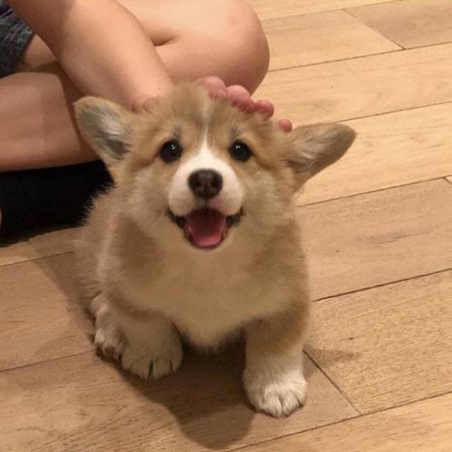 <a href="/psykogem/">psykogem</a> t.me/millycommunity

75 k 

Next 750 k ?