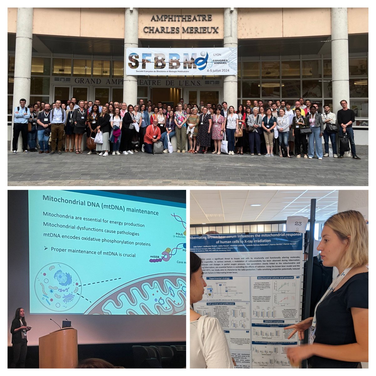 RadioBioPhysics's tweet photo. Very nice @_SFBBM 2024 congress! It was great meeting the biochemistry and molecular biology community ☺️ Big thanks to the organizers 👍
Jade presented her work with a poster and Amandine won a price for her talk, congratulations! 👏 https://t.co/QqHlqRCsZy