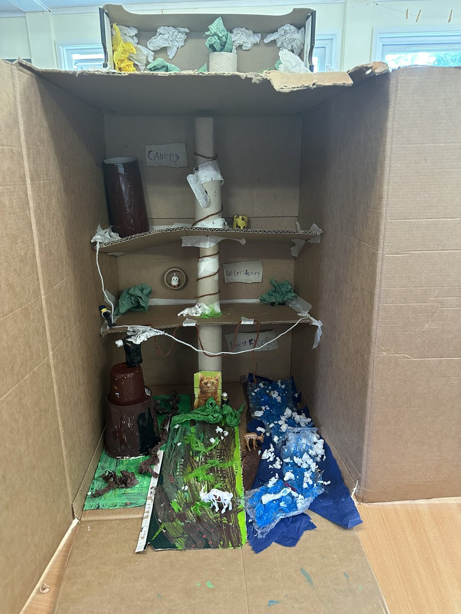 Ruby Depledge (@missdepledge_) on Twitter photo Before, during and after!π¨π§πΌβπ¨βοΈ What a day we have had! Year 5 have designed and created their own 3D model of the layers of the rainforest using recycled materials. Super impressed with their artistic and D.T skills! π <a href="/mrstayloryr5/">@SallyTaylorCBPSA</a> @tedder_charlie <a href="/Ks1Base/">KS1 Speech and Language Base CBPSA</a> Before, during and after!π¨π§πΌβπ¨βοΈ What a day we have had! Year 5 have designed and created their own 3D model of the layers of the rainforest using recycled materials. Super impressed with their artistic and D.T skills! π <a href="/mrstayloryr5/">@SallyTaylorCBPSA</a> @tedder_charlie <a href="/Ks1Base/">KS1 Speech and Language Base CBPSA</a>