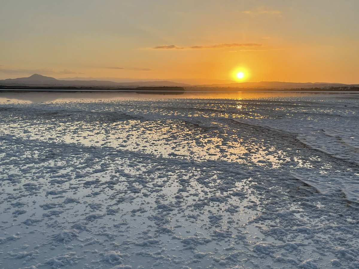 eevriviades's tweet photo. Sunset tonight at Larnaca salt Lake
#Cyprus #Cypriot #Larnaca #Larnaka #SaltLake @visitcyprus @LarnakaRegion #visitCyprus #loveCyprus #simplyCyprus https://t.co/RSPNgJcKss