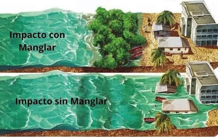 Información que ayuda... 

#HuracánBeryl