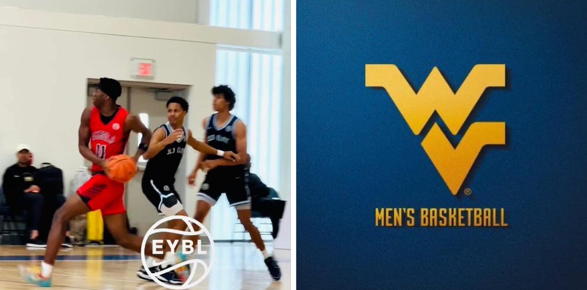 HOOP DAWGS tweet media