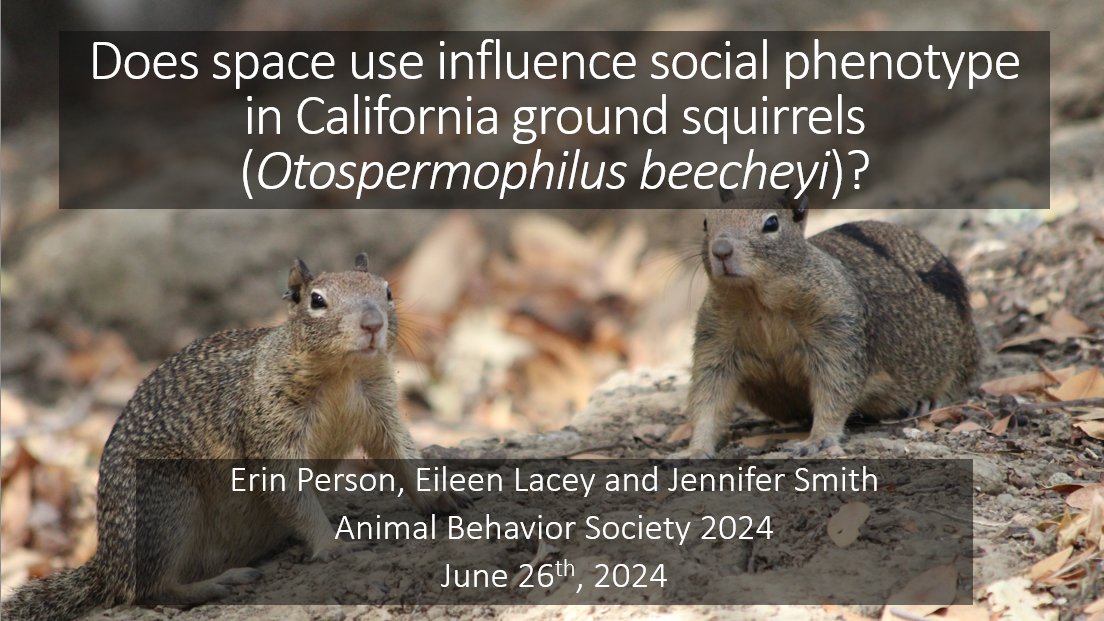 Erin Person tweet media