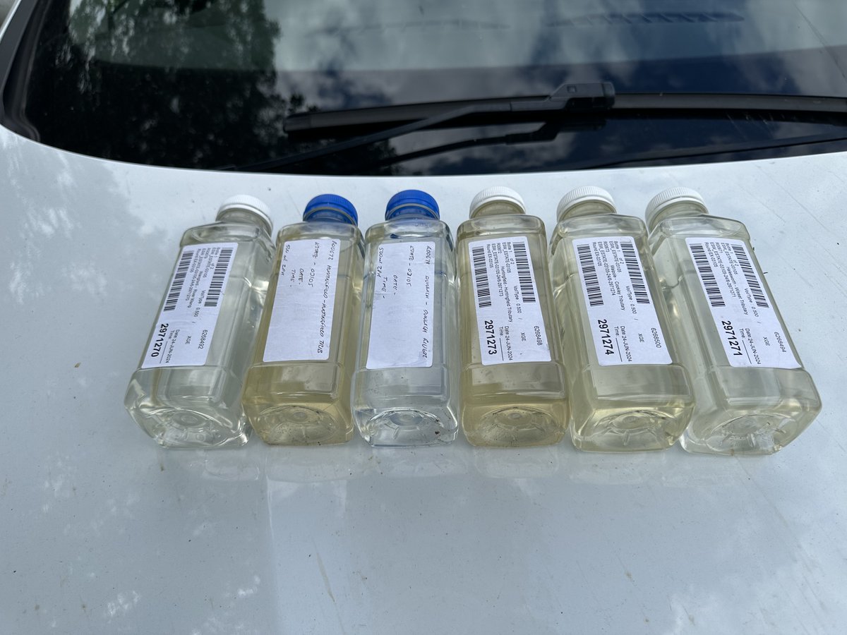 BlythCluster's tweet photo. Our water quality project in the Blyth Catchment is underway. Samples collected by @SWTWildFarms are tested by @eswater_care and @coastandheaths is funding additional testing for pesticides with FiPL. Data so far were presented at the summer meet up. @DefraGovUK @Jenny4SuffCoast https://t.co/JkhmDCepTT