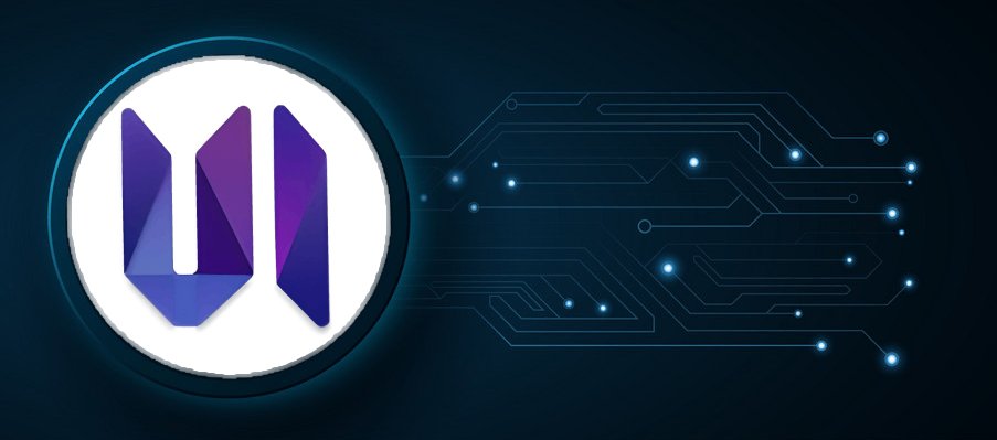 UsdStarter tweet media