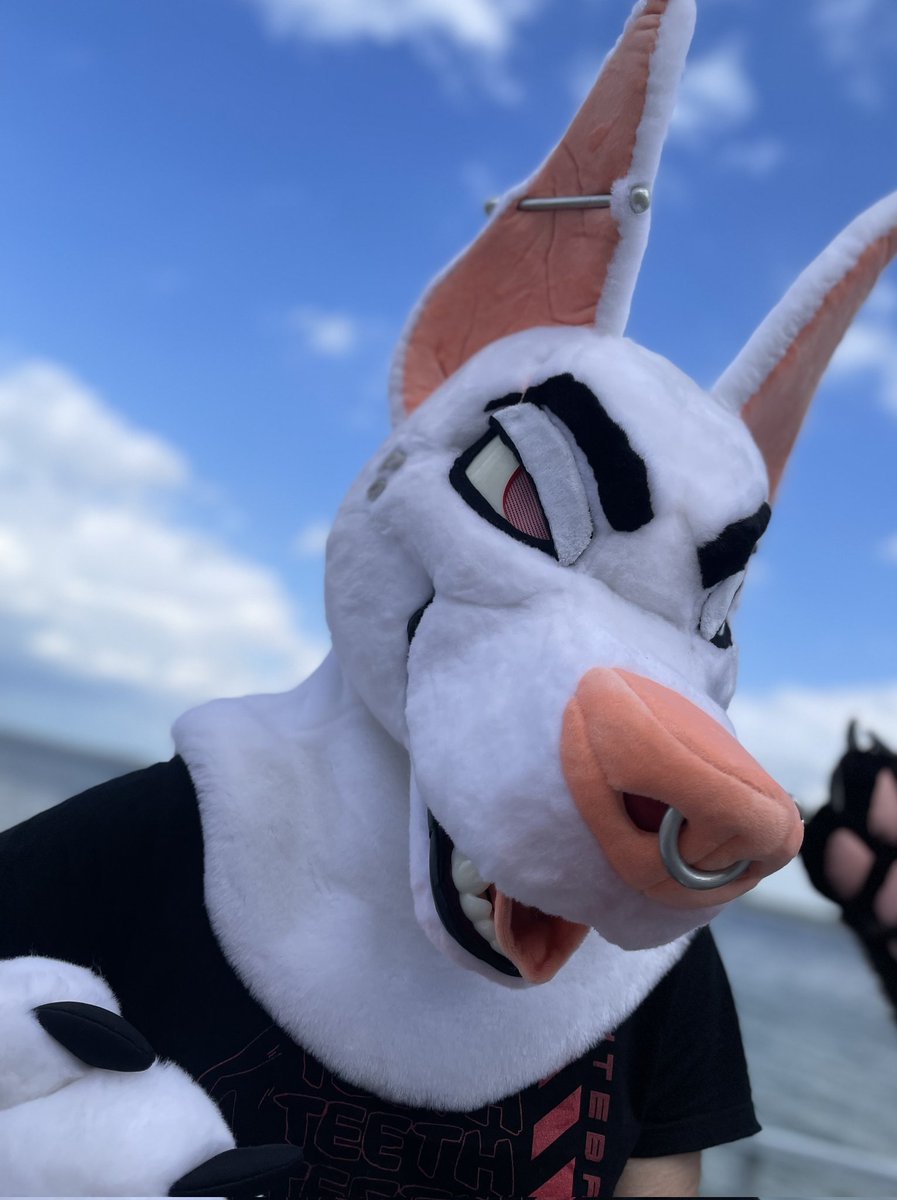 Seaside #FursuitFriday 🌊 ft. <a href="/DionWolverine/">DION. 🕯🔥</a> 🐻🐶
(🪡+📸 @LomonosovFur)