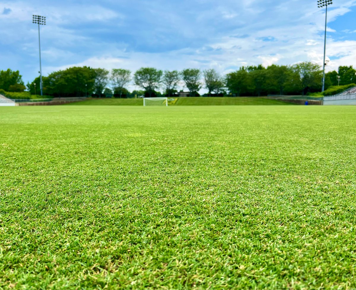 SoccerPlex Sports Turf Institute (@mdsoccerplexgem) on Twitter photo .<a href="/Tahoma31Bermuda/">Tahoma 31</a> on <a href="/MDSoccerPlex/">MD SoccerPlex</a> Stadium down to .25”. Tighten up the Bermuda density & choke back the Rye.
Thanks to <a href="/thejscott/">Justin Scott</a> for the tip! .<a href="/Tahoma31Bermuda/">Tahoma 31</a> on <a href="/MDSoccerPlex/">MD SoccerPlex</a> Stadium down to .25”. Tighten up the Bermuda density & choke back the Rye.
Thanks to <a href="/thejscott/">Justin Scott</a> for the tip!